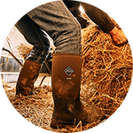 Landwirtschaft